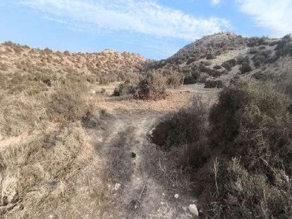 Field-Psematismenos-PR12292