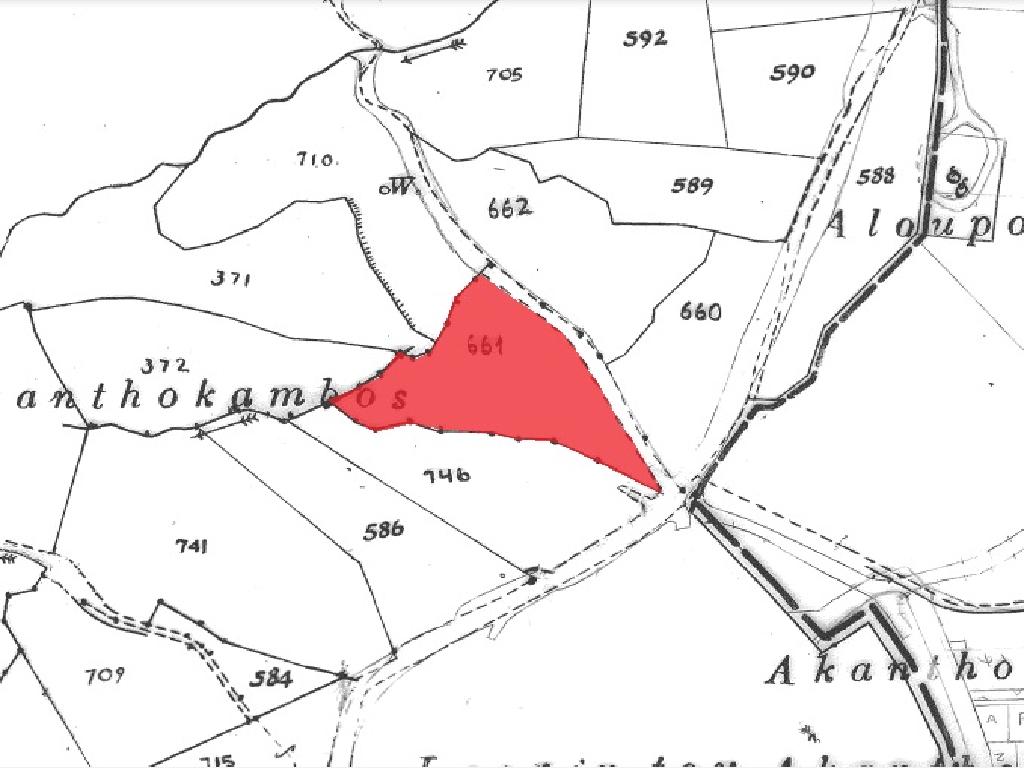 Field-Choletria-PR14867
