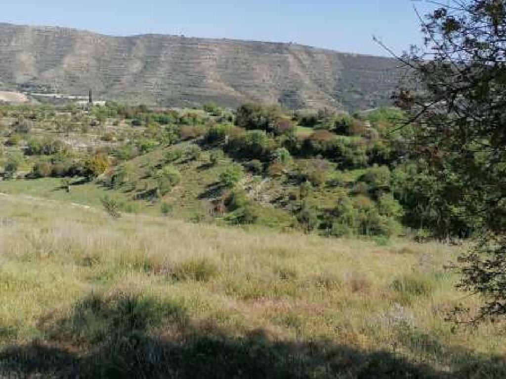 Field-Dora-PR34126