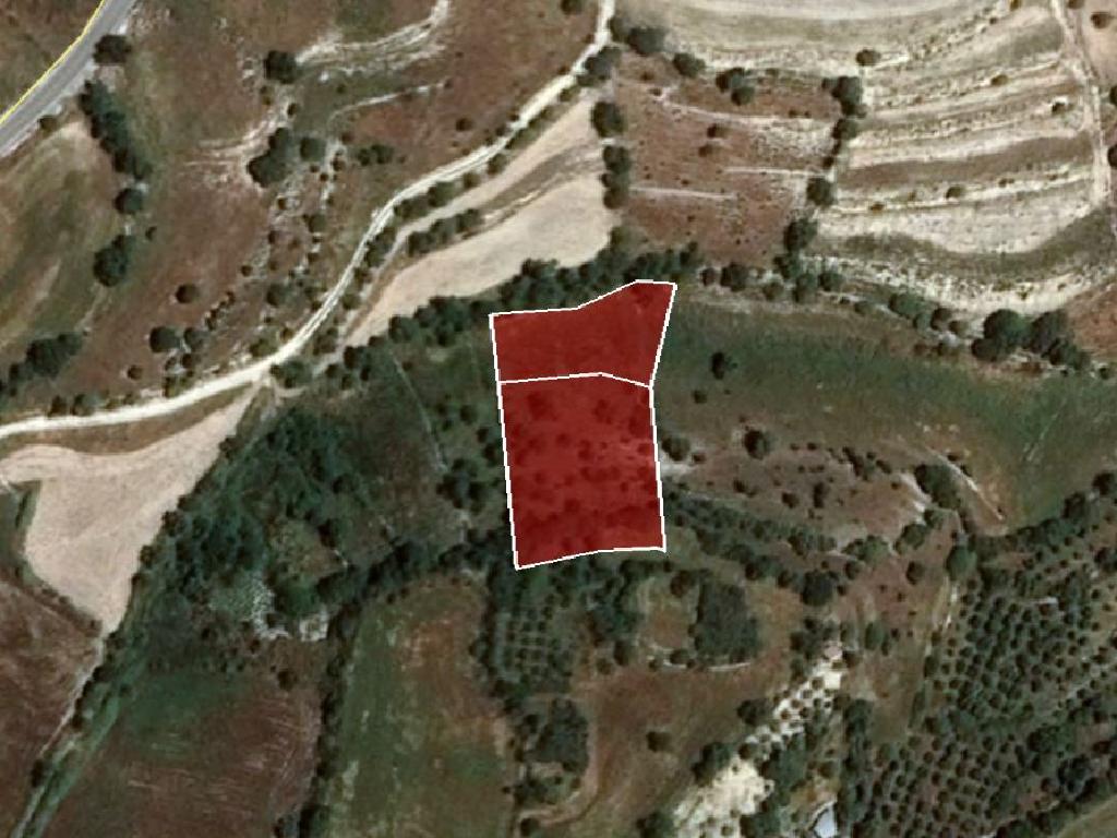 Field-Dora-PR34126
