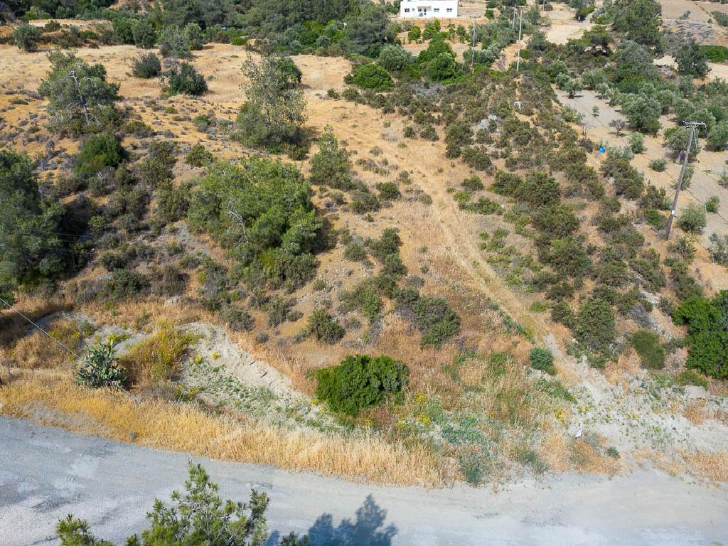Field - Monagroulli, Limassol