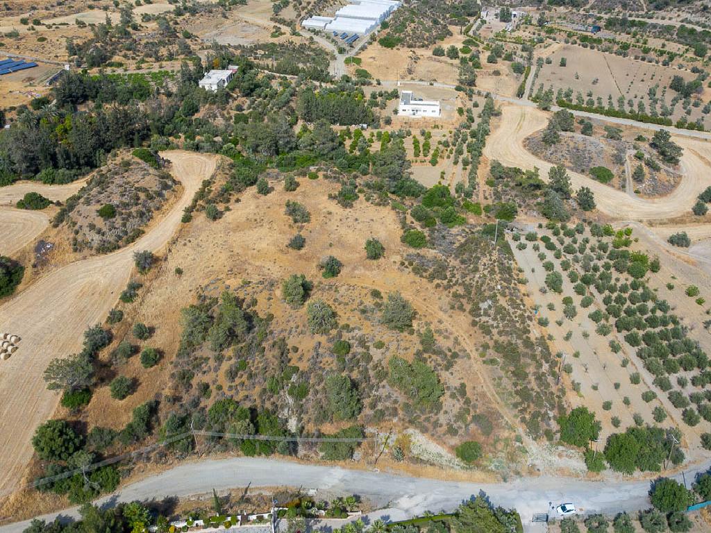 Field - Monagroulli, Limassol