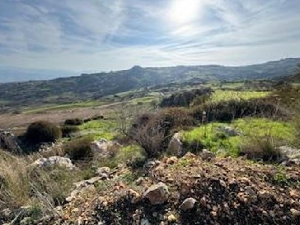 Field-Drouseia-PR36155