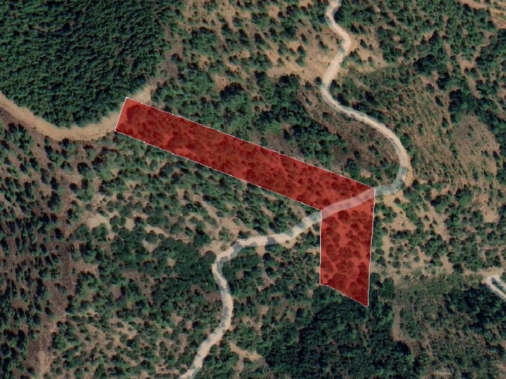 Field-Gerakies-PR37442