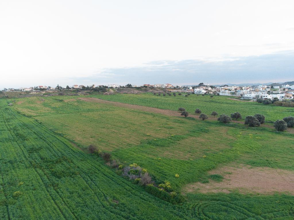 Field (Share) - Lakatameia, Nicosia