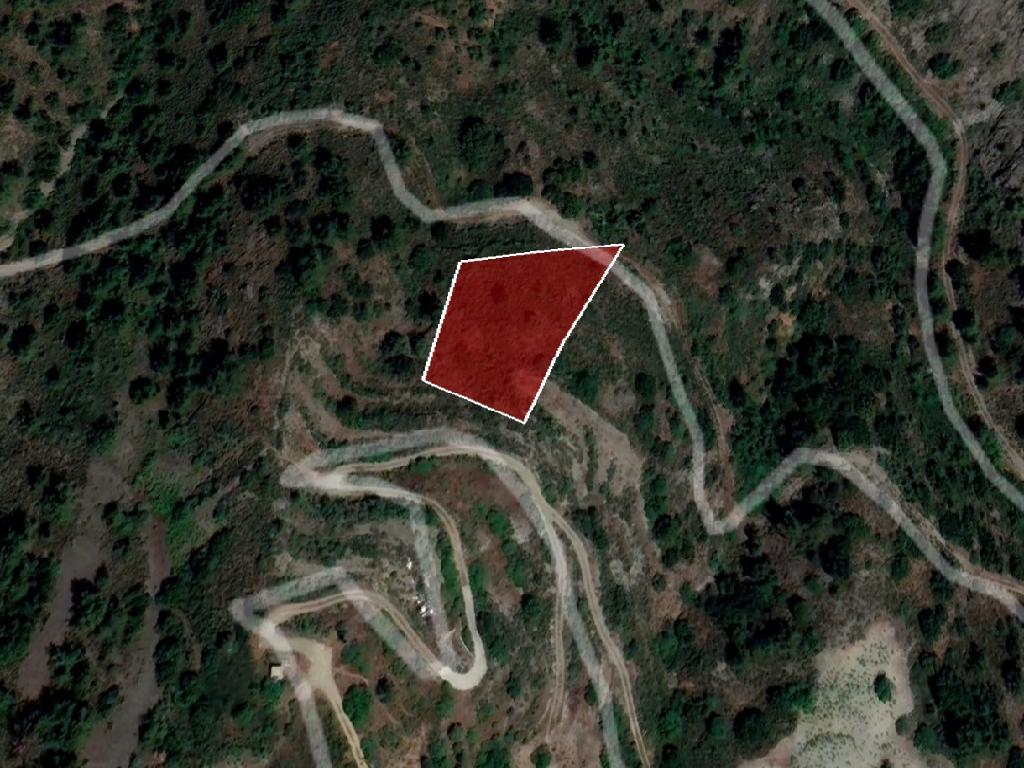 Field-Gourri-PR39754