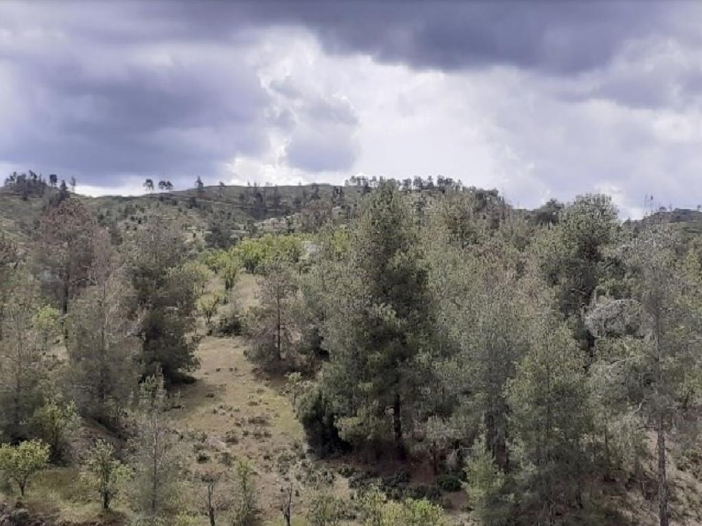 Field-Kapedes-PR40734