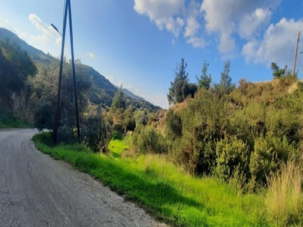 Field-Kato Pyrgos-PR41088