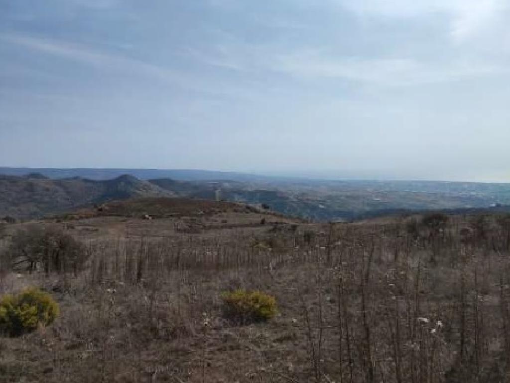 Field-Marathounta-PR41591