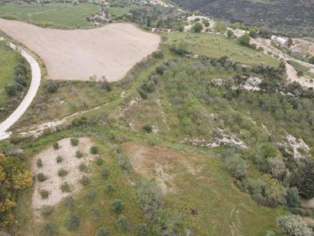 Field-Tsada-PR42622