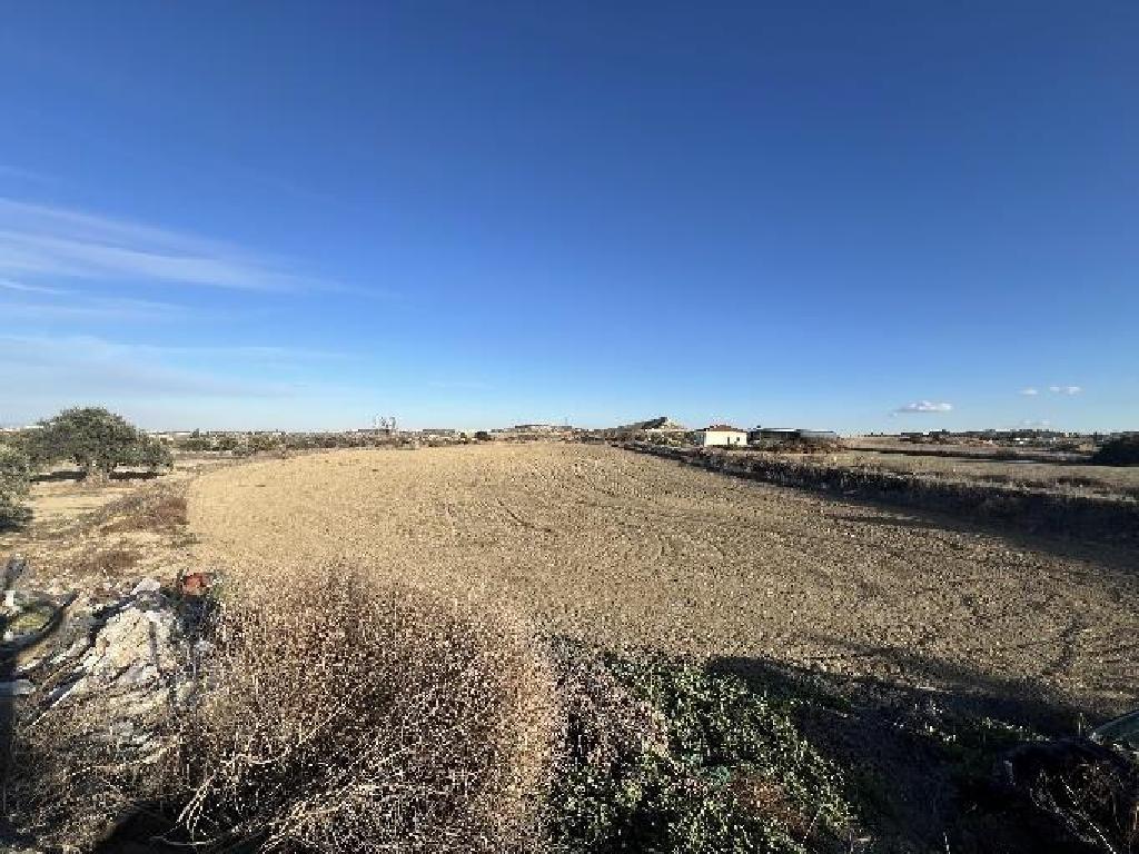 Field (share) - Margi, Nicosia