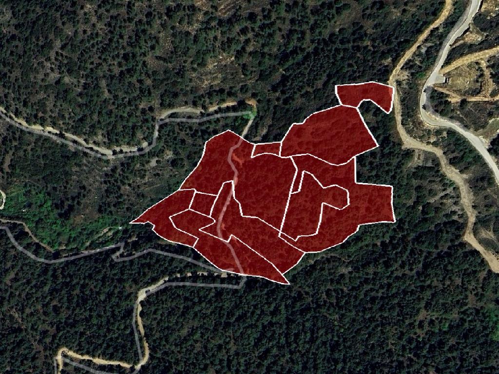 &Chi;&omega;&rho;ά&phi;&iota; - &Sigma;&pi;ή&lambda;&iota;&alpha;, &Lambda;&epsilon;&upsilon;&kappa;&omega;&sigma;ί&alpha;