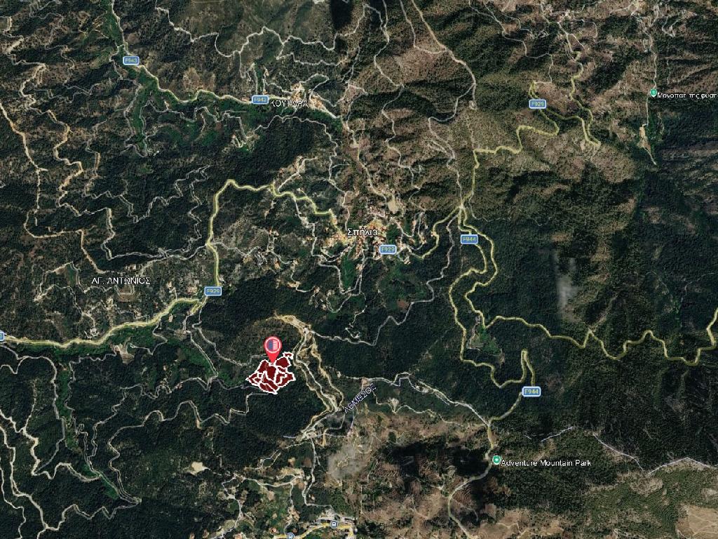 &Chi;&omega;&rho;ά&phi;&iota; - &Sigma;&pi;ή&lambda;&iota;&alpha;, &Lambda;&epsilon;&upsilon;&kappa;&omega;&sigma;ί&alpha;