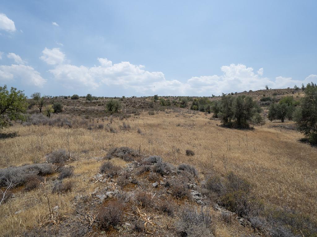 Field - Agrokipia, Nicosia