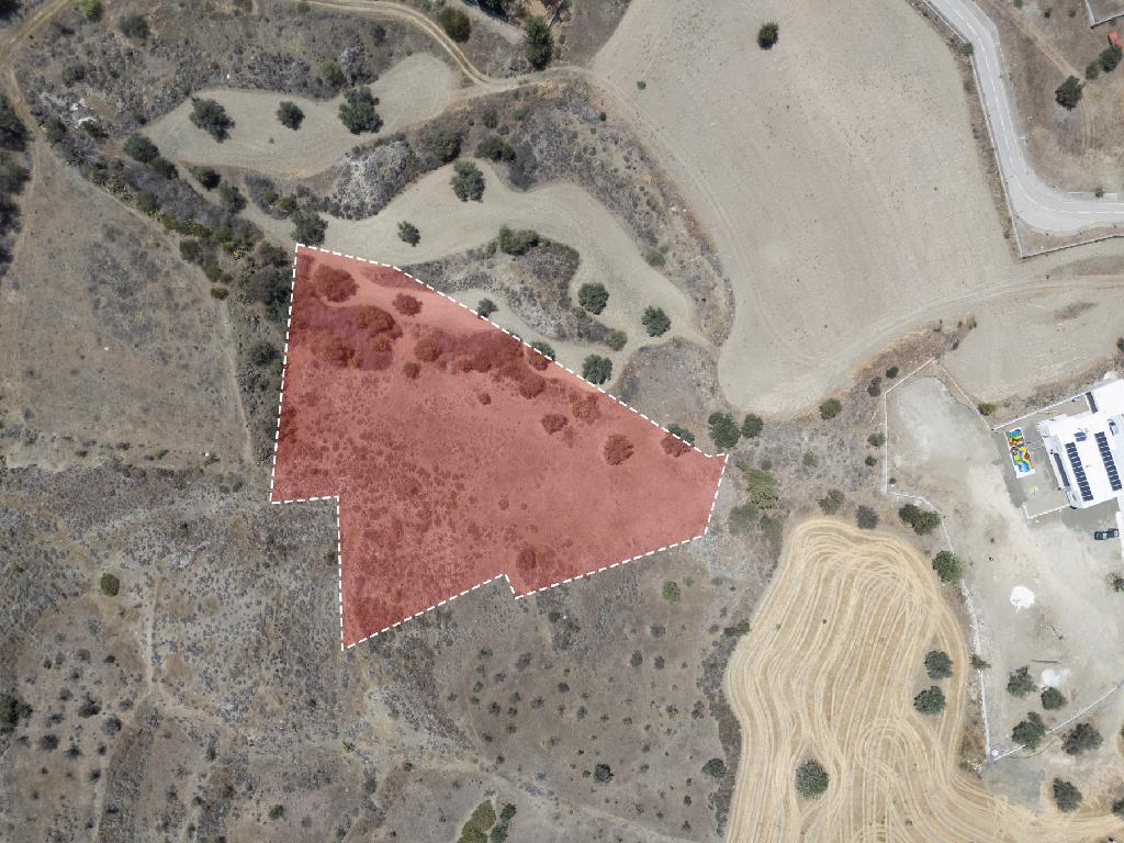 Field - Agrokipia, Nicosia
