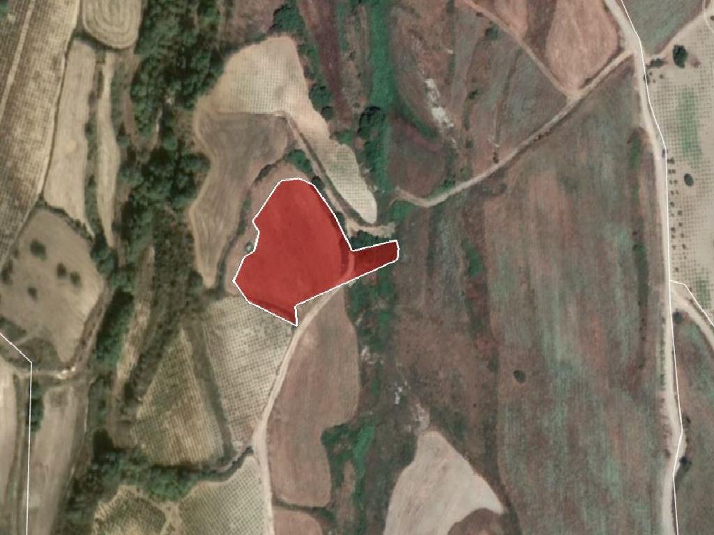 Field-Stroumpi-PR14770