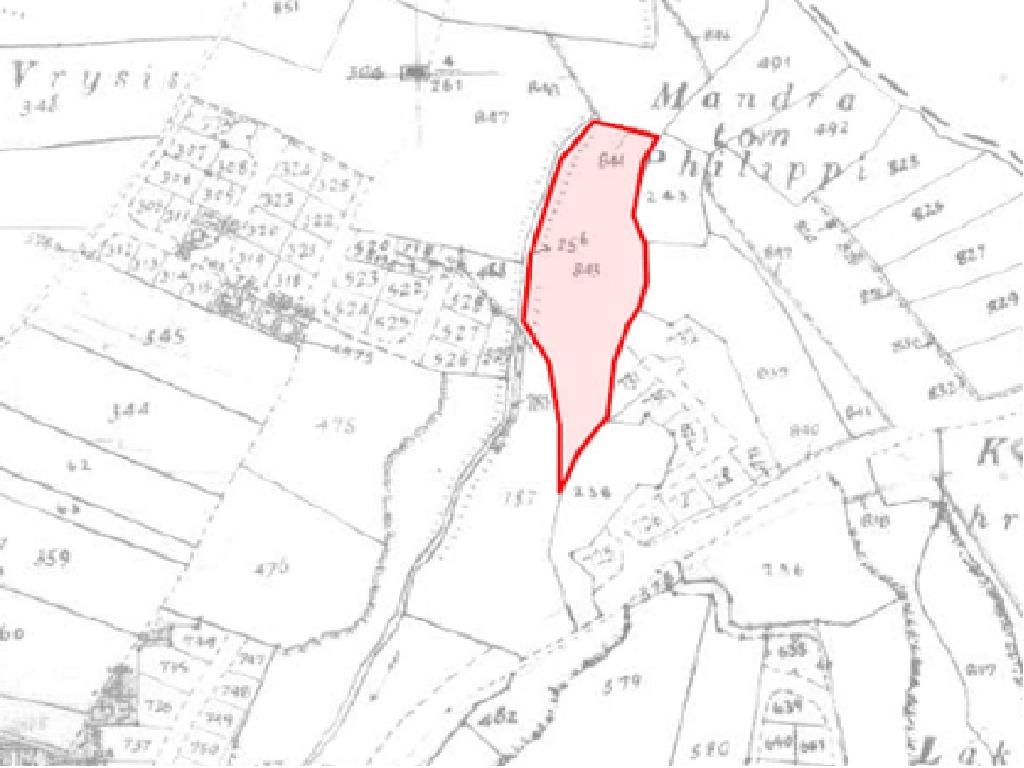 Field-Timi-PR13841
