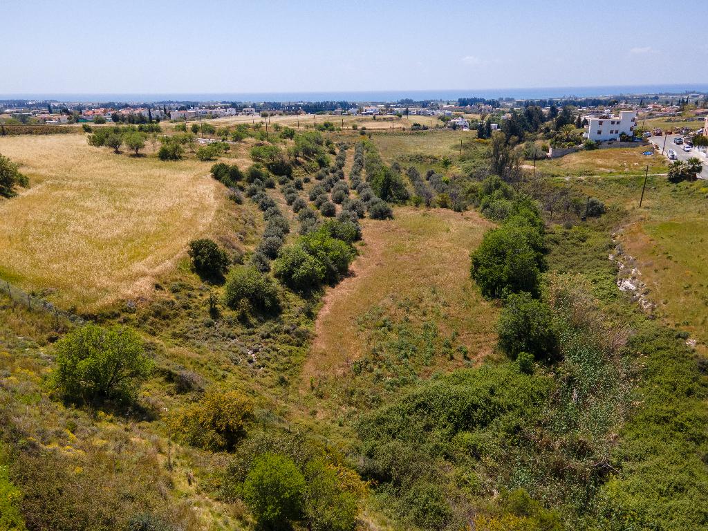 Field-Timi-PR13841