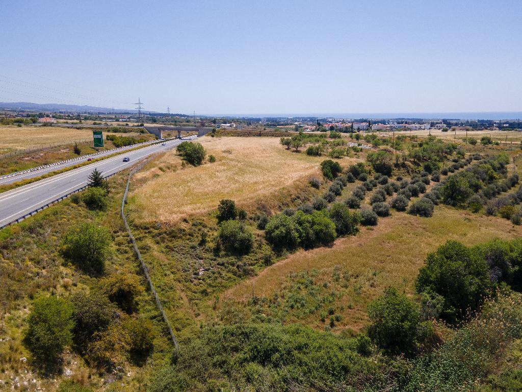 Field-Timi-PR13841