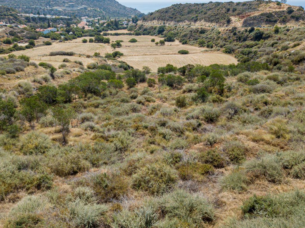 Field-Pissouri-PR35394