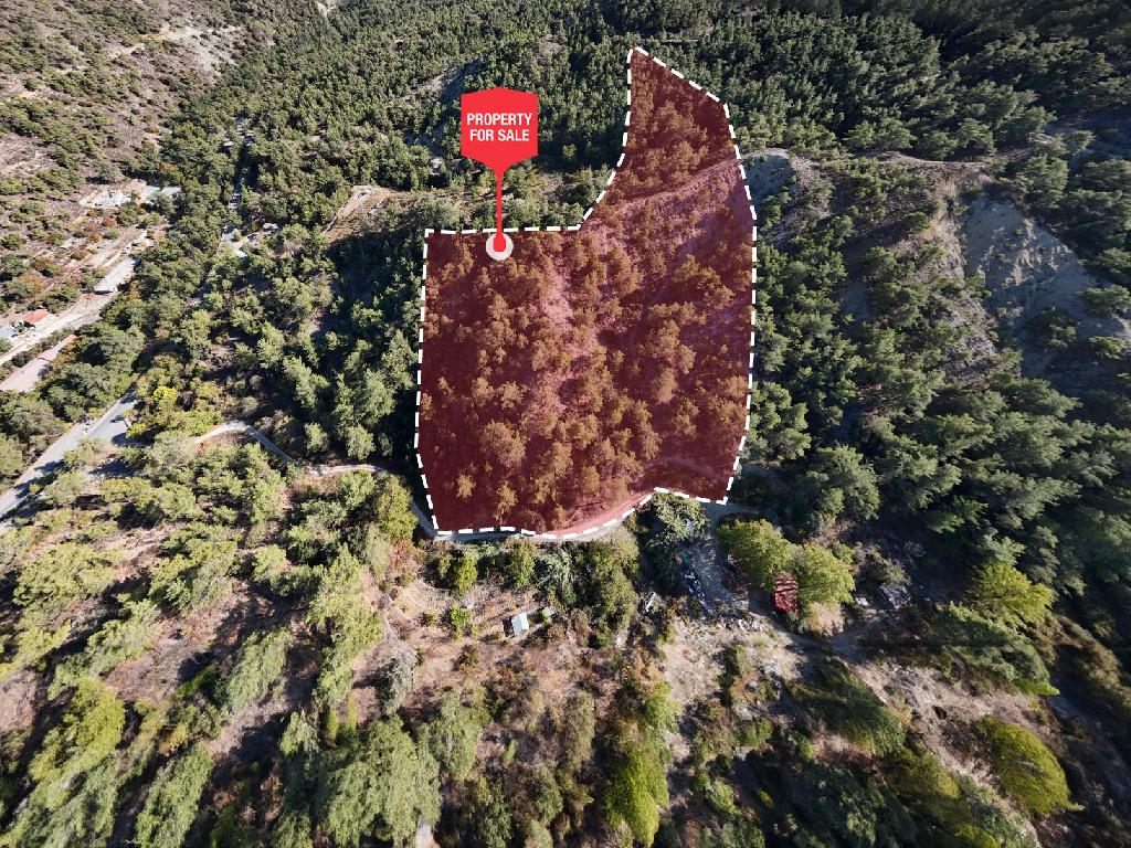 Field-Kakopetria-PR35663