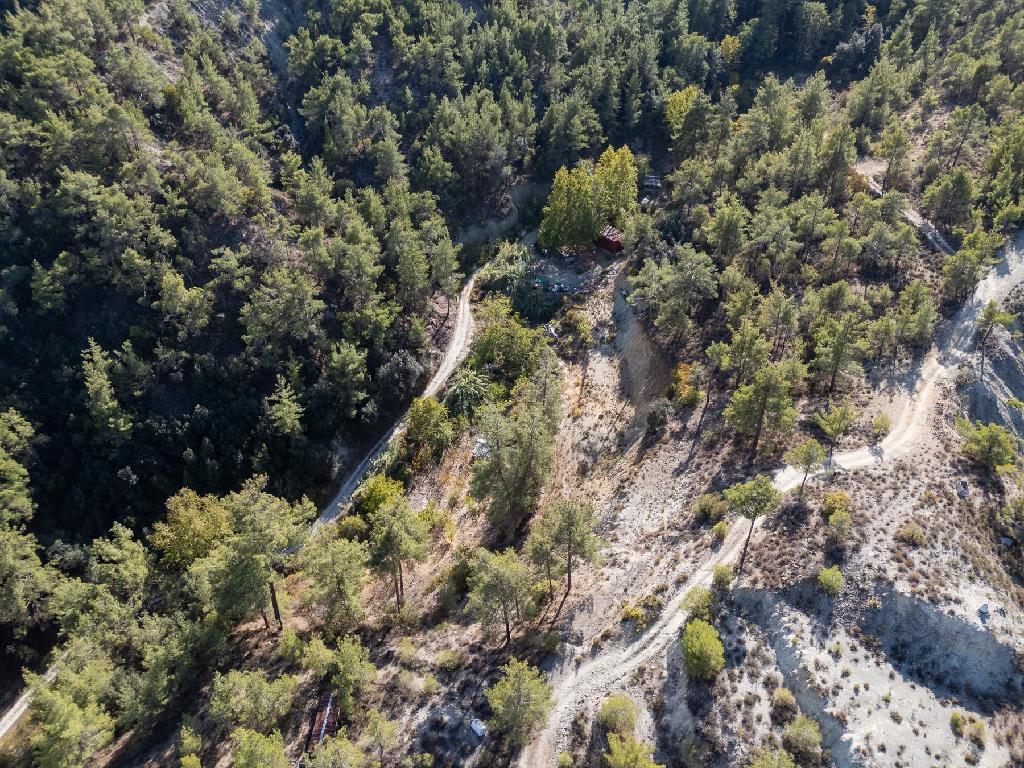 Field-Kakopetria-PR35663