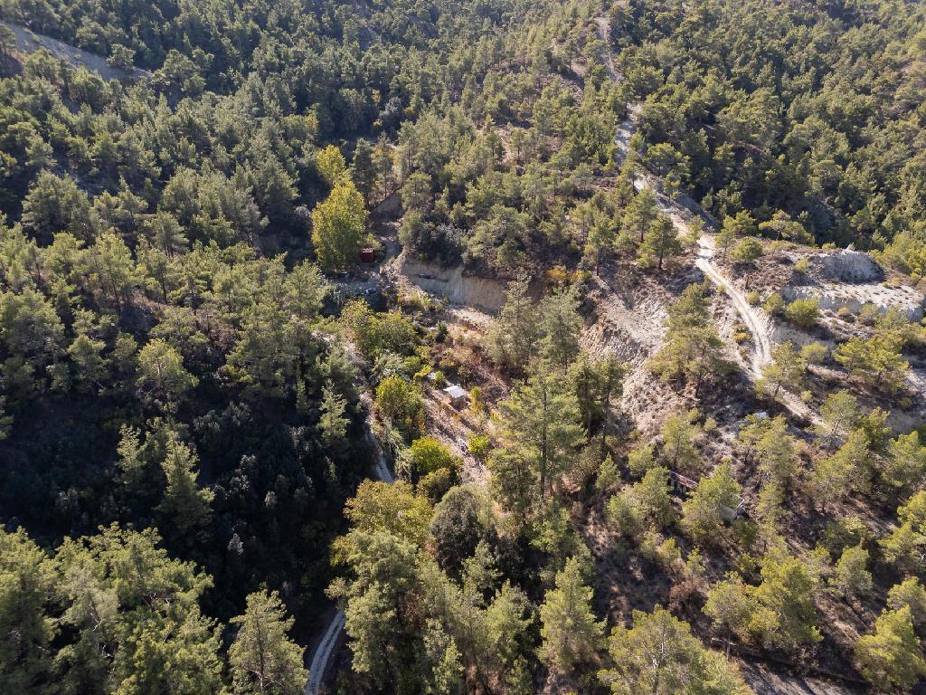 Field-Kakopetria-PR35663