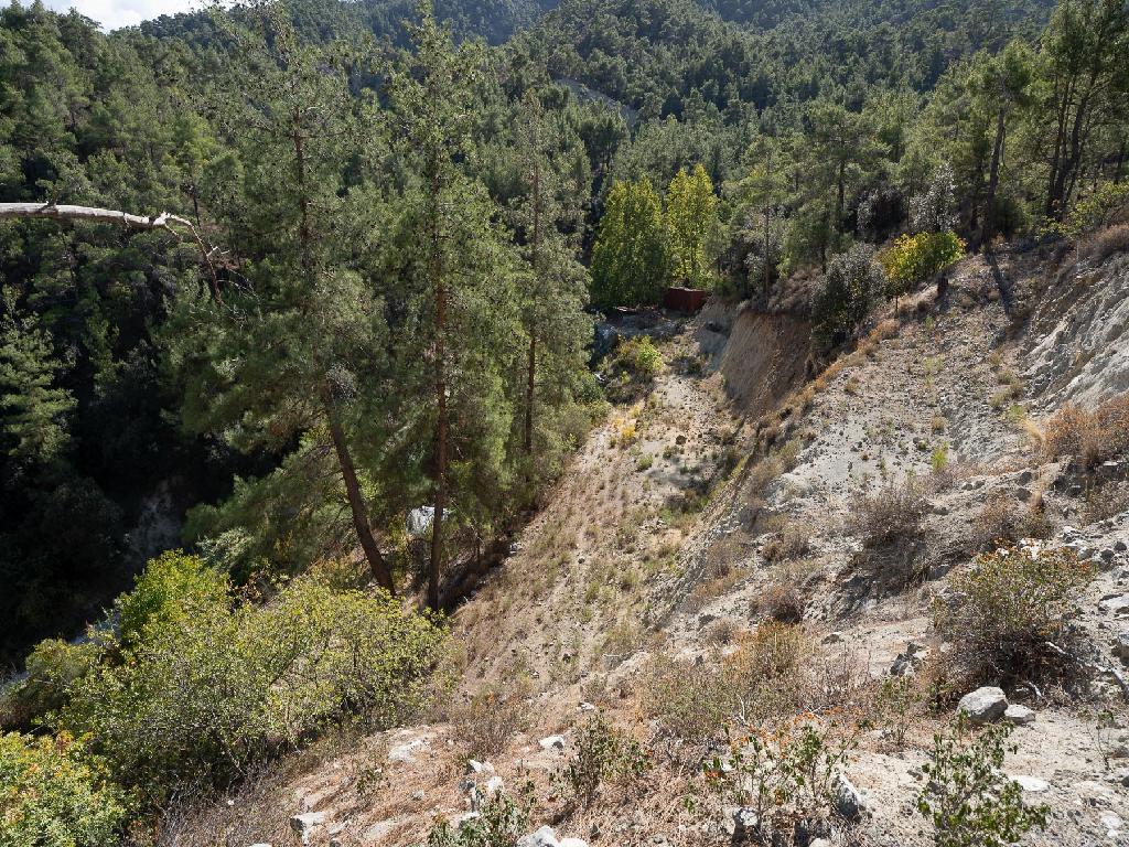 Field-Kakopetria-PR35663
