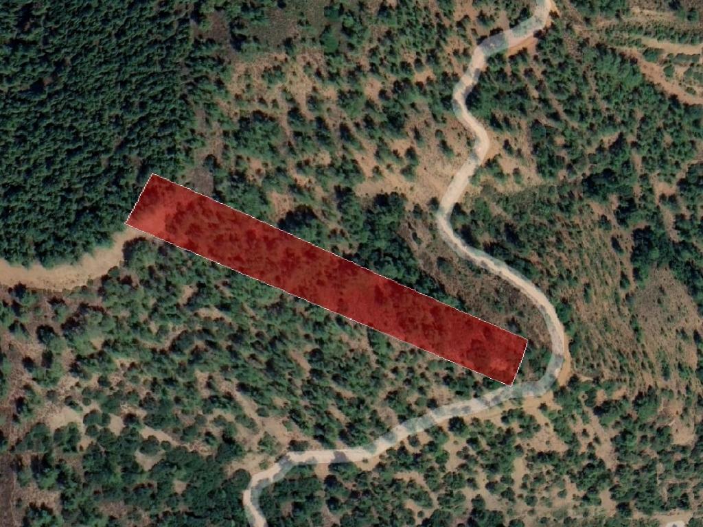 Field-Gerakies-PR37443