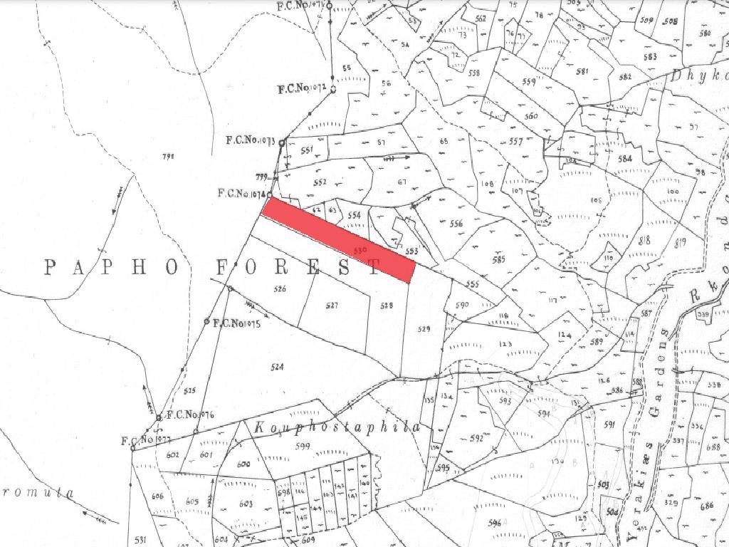 Field-Gerakies-PR37443