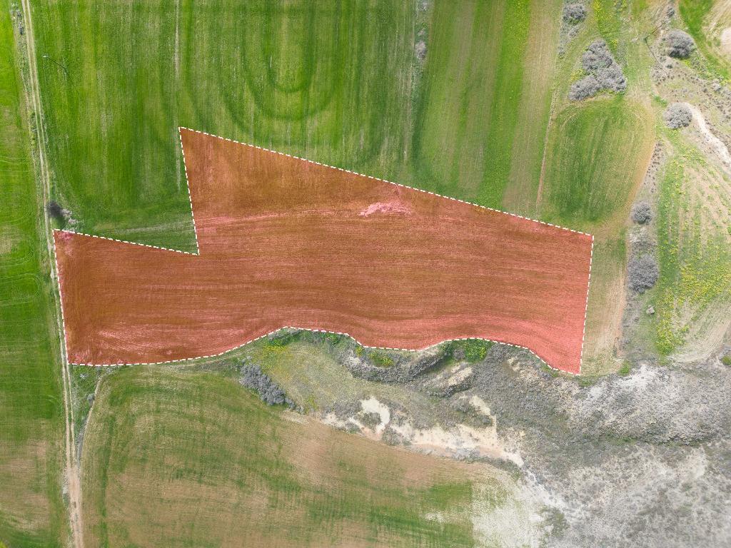 Field-Arediou-PR37600