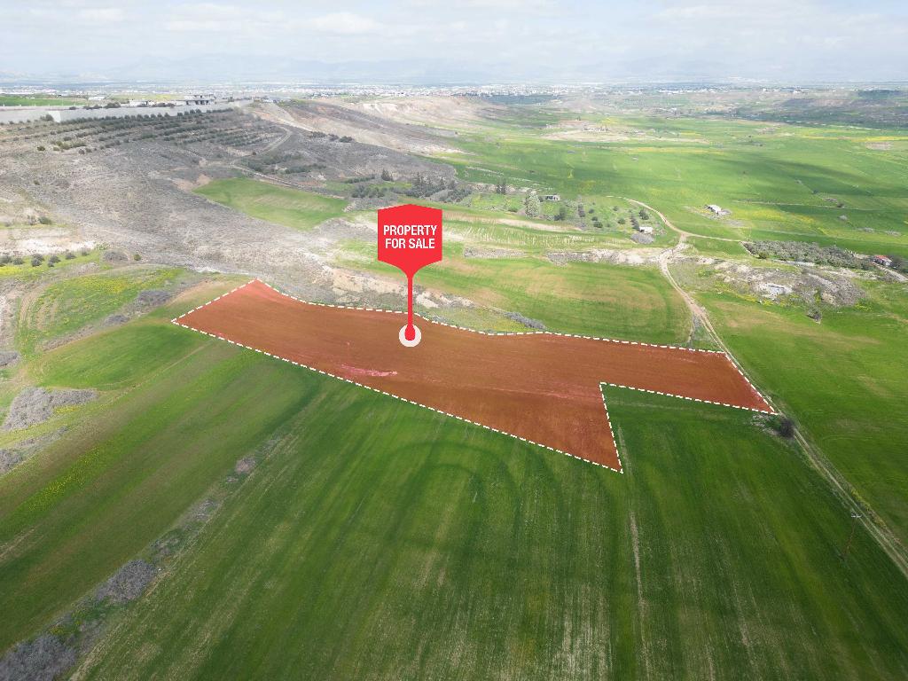 Field-Arediou-PR37600