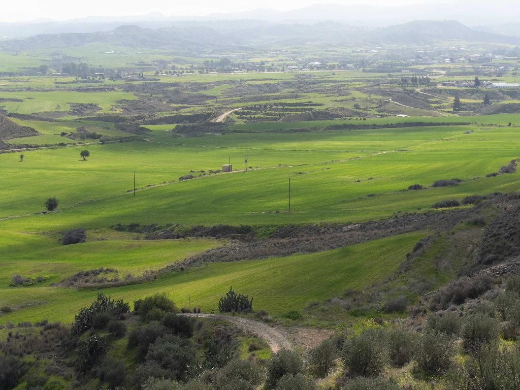 Field-Arediou-PR37600