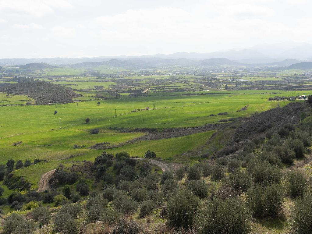 Field-Arediou-PR37600