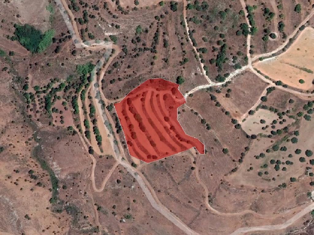Field-Statos - Agios Fotios-PR37281