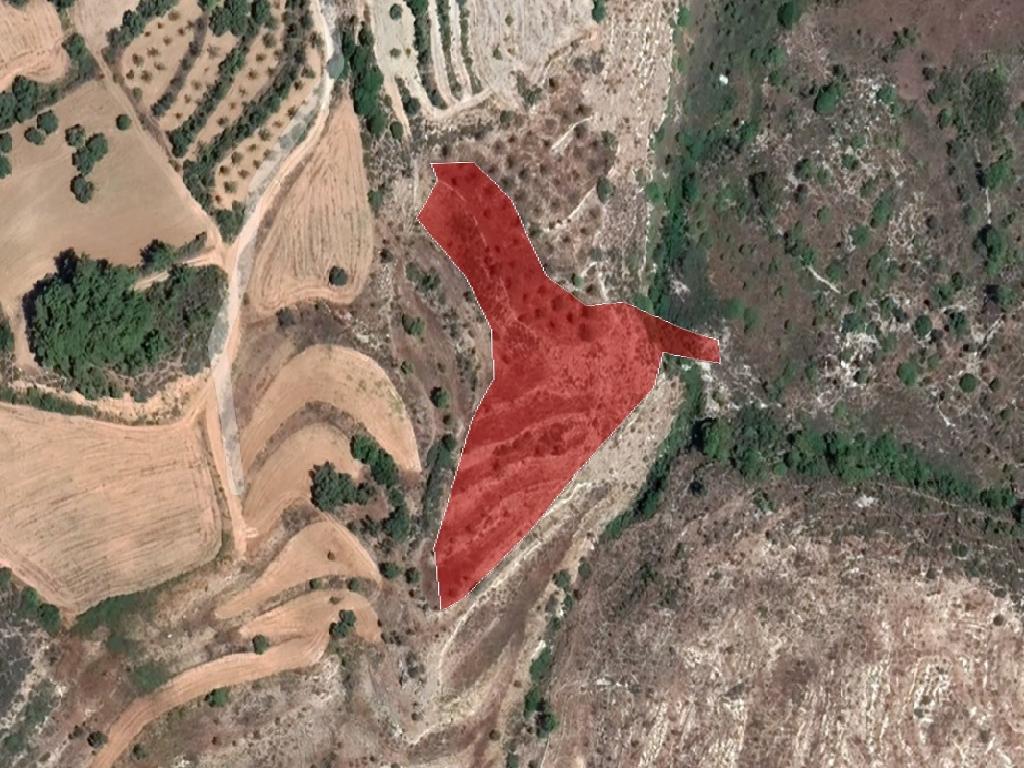 Field-Drymou-PR37606
