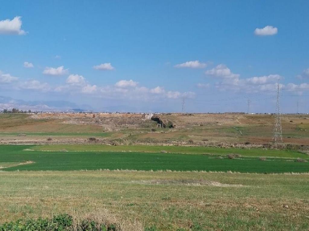 Field - Astromeritis, Nicosia