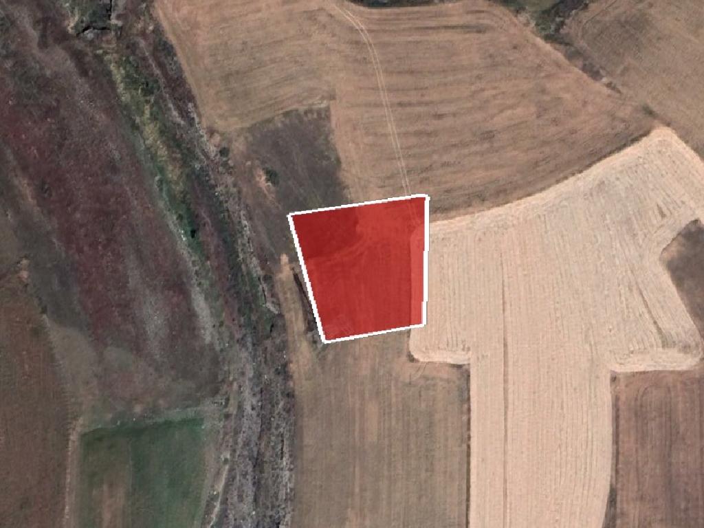 Field - Astromeritis, Nicosia