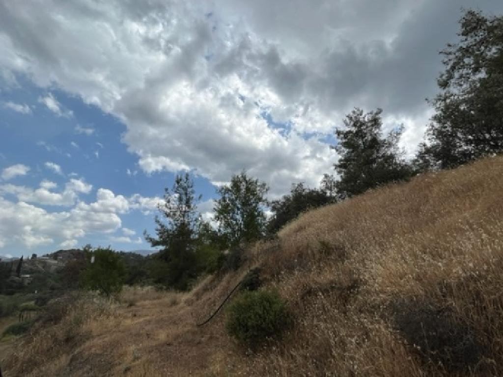 Field - Korakou, Nicosia