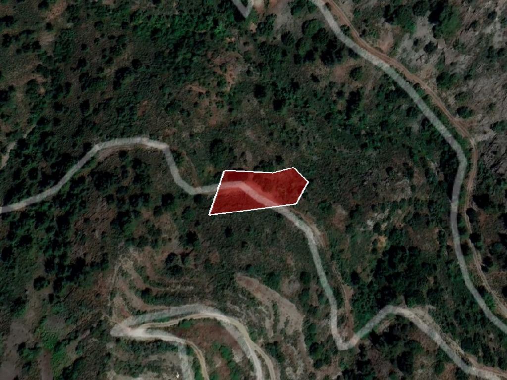 Field-Gourri-PR39753