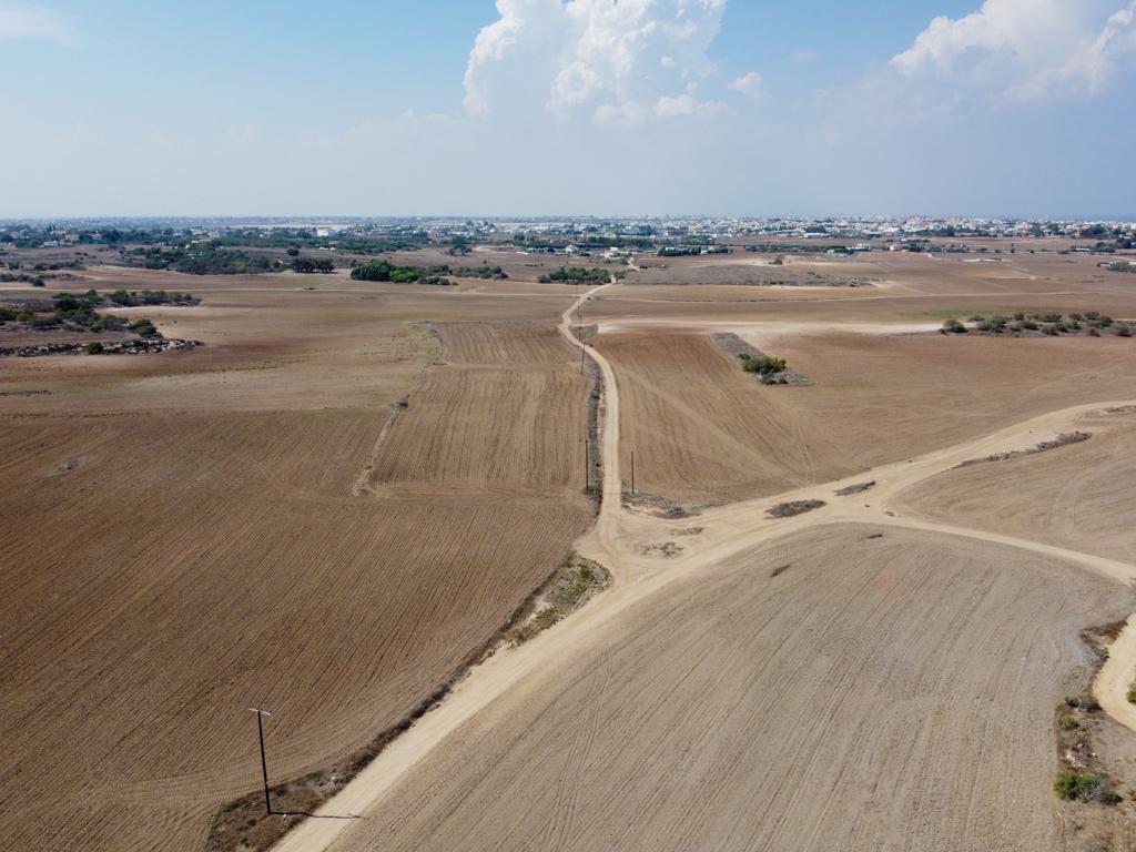 Field-Paralimni-PR40824