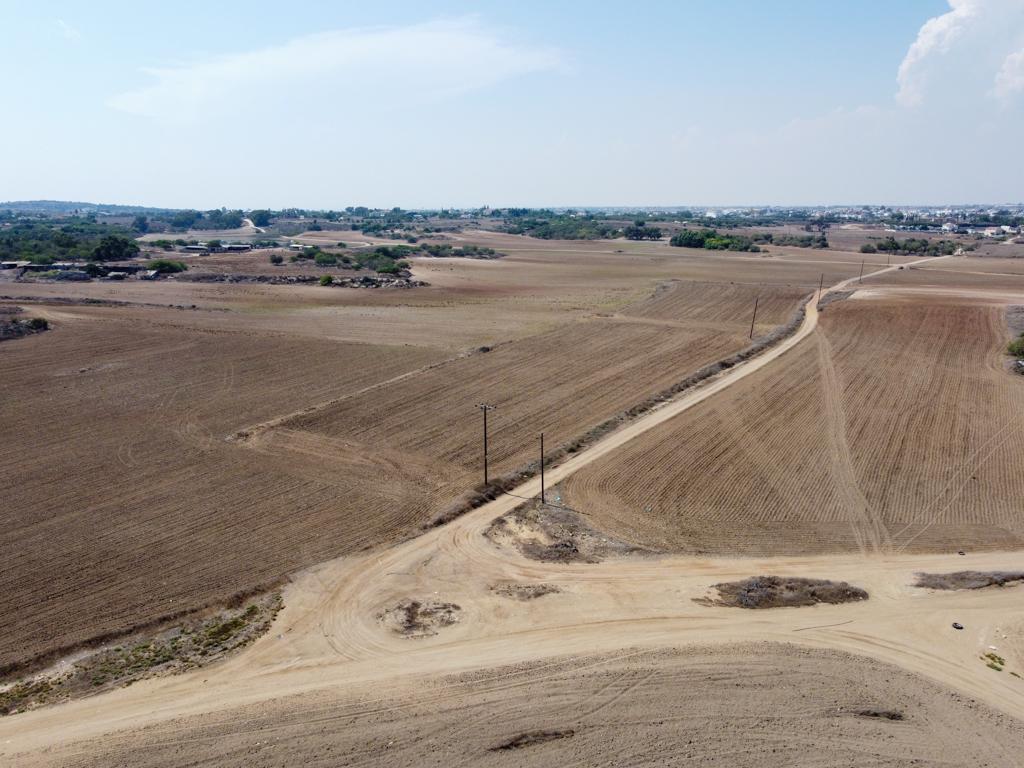Field-Paralimni-PR40824