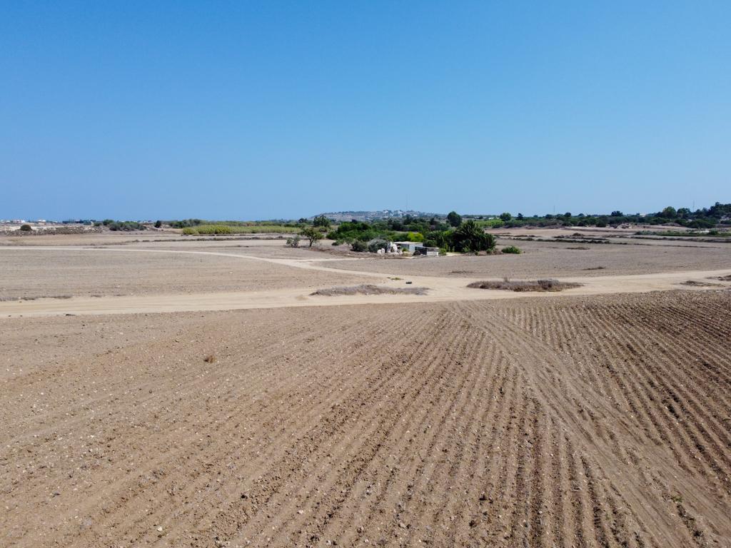 Field-Paralimni-PR40824