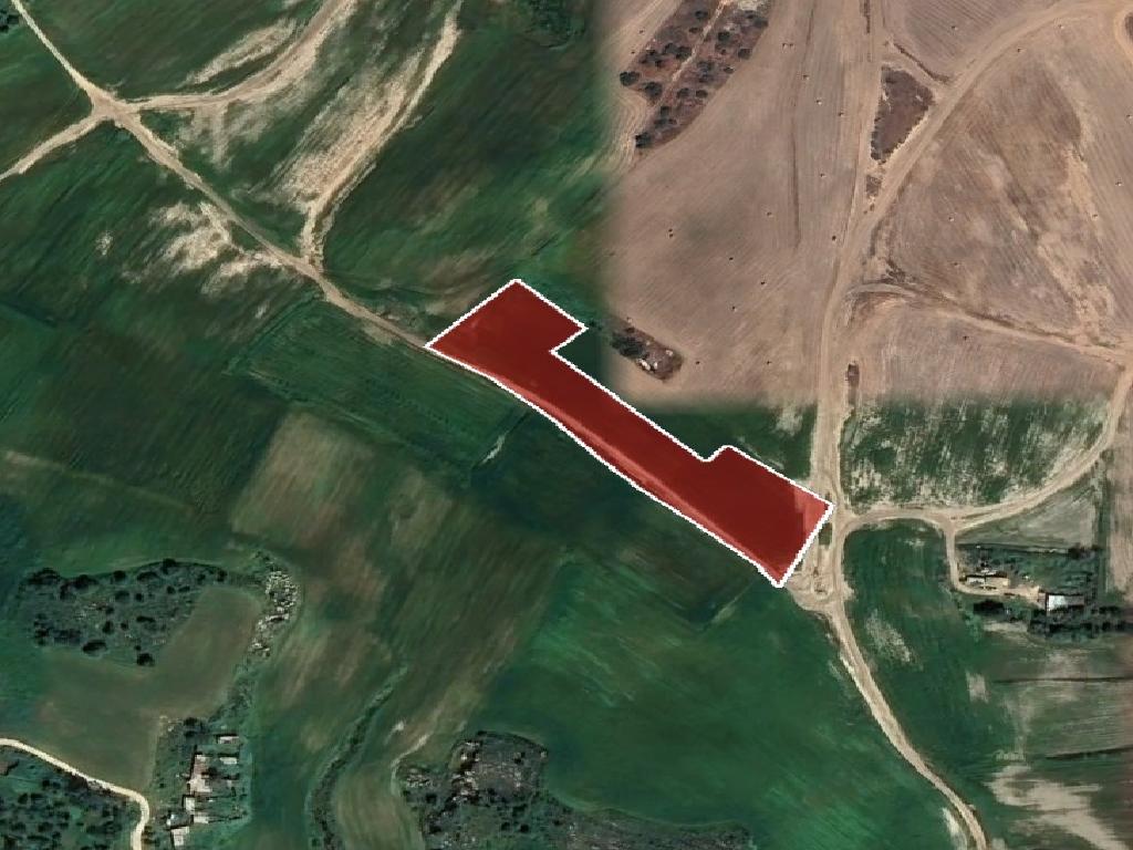 Field-Paralimni-PR40824