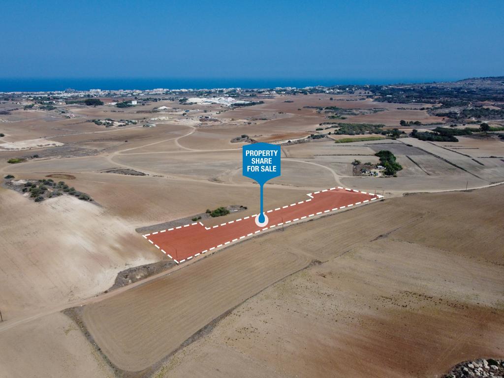 Field-Paralimni-PR40824