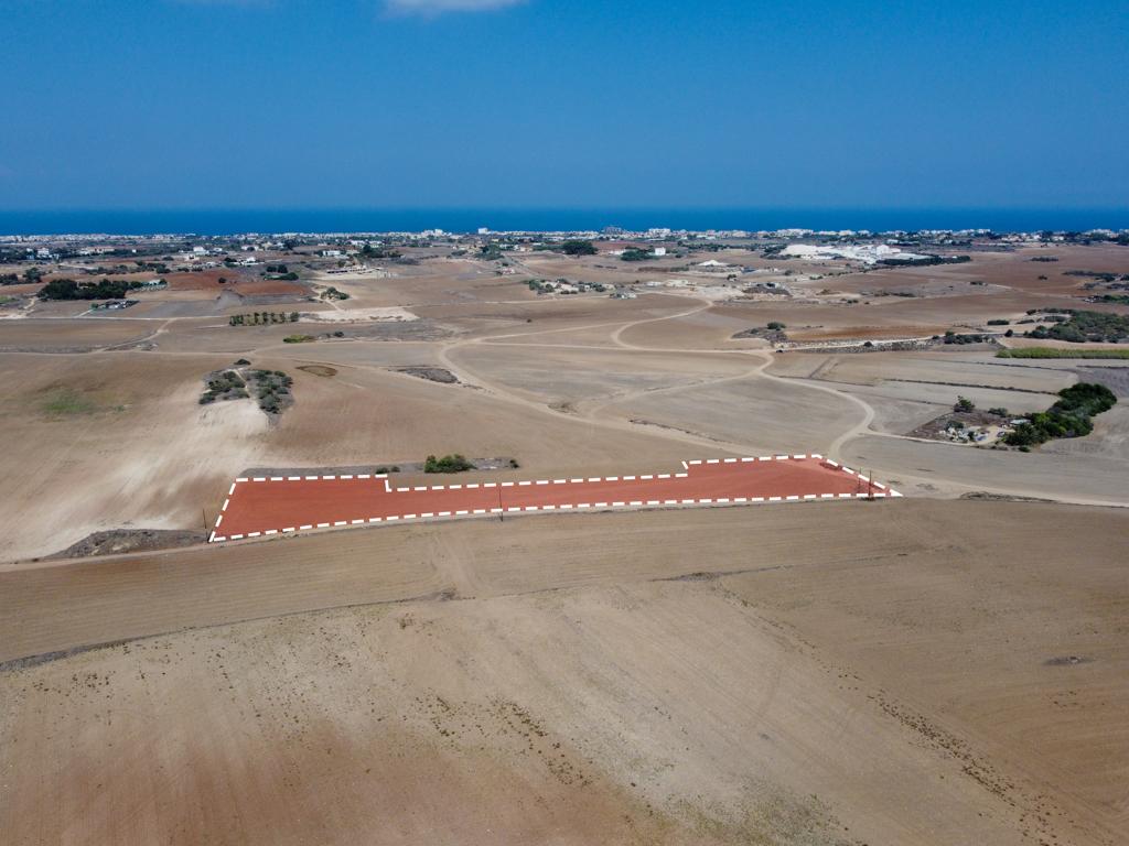 Field-Paralimni-PR40824