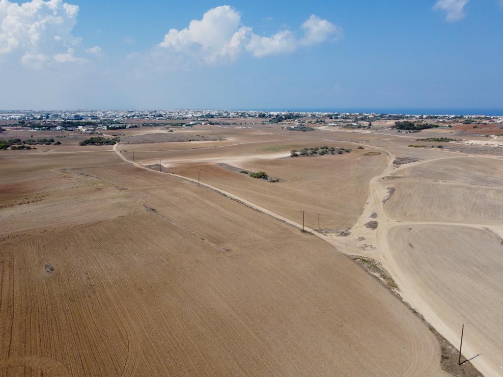 Field-Paralimni-PR40824