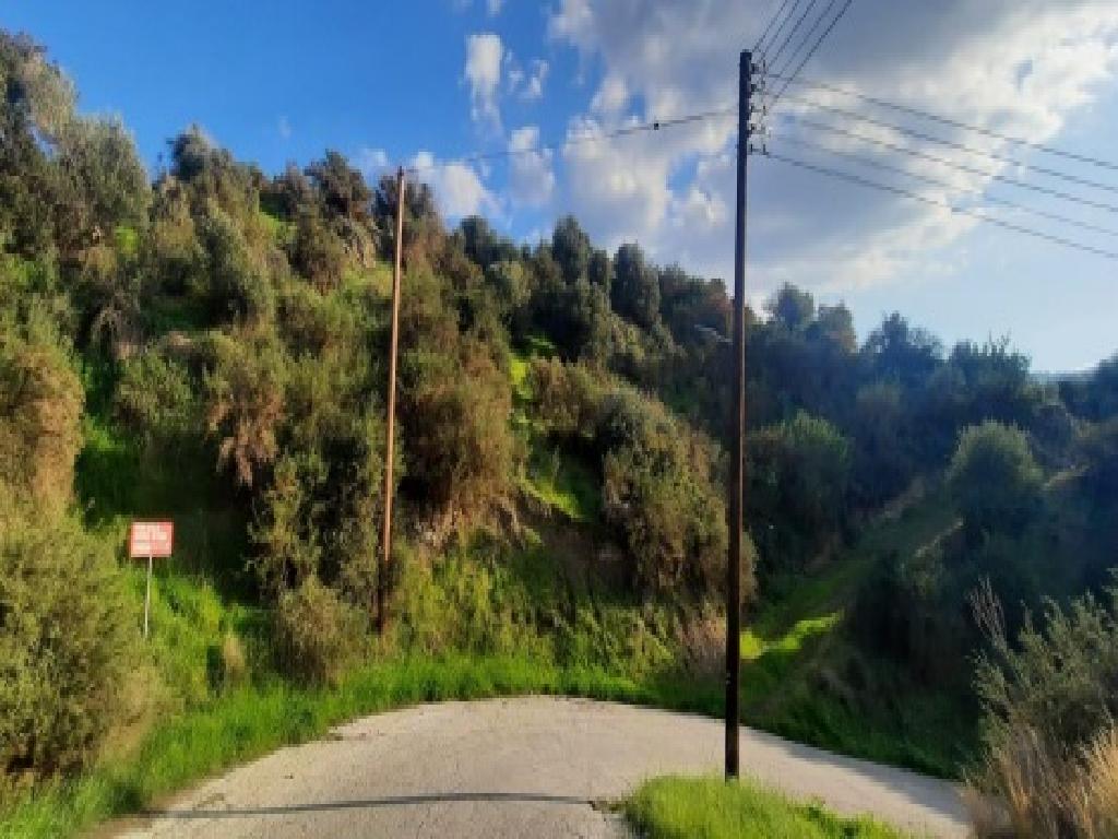 Field-Kato Pyrgos-PR41089