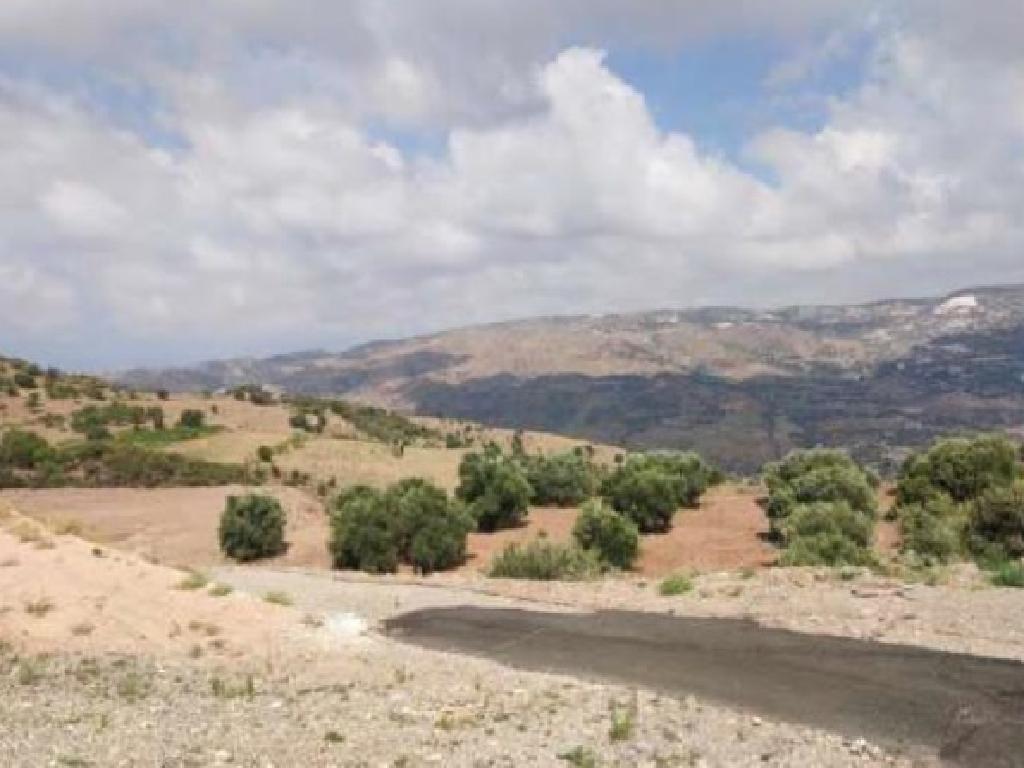 Field-Episkopi-PR41424