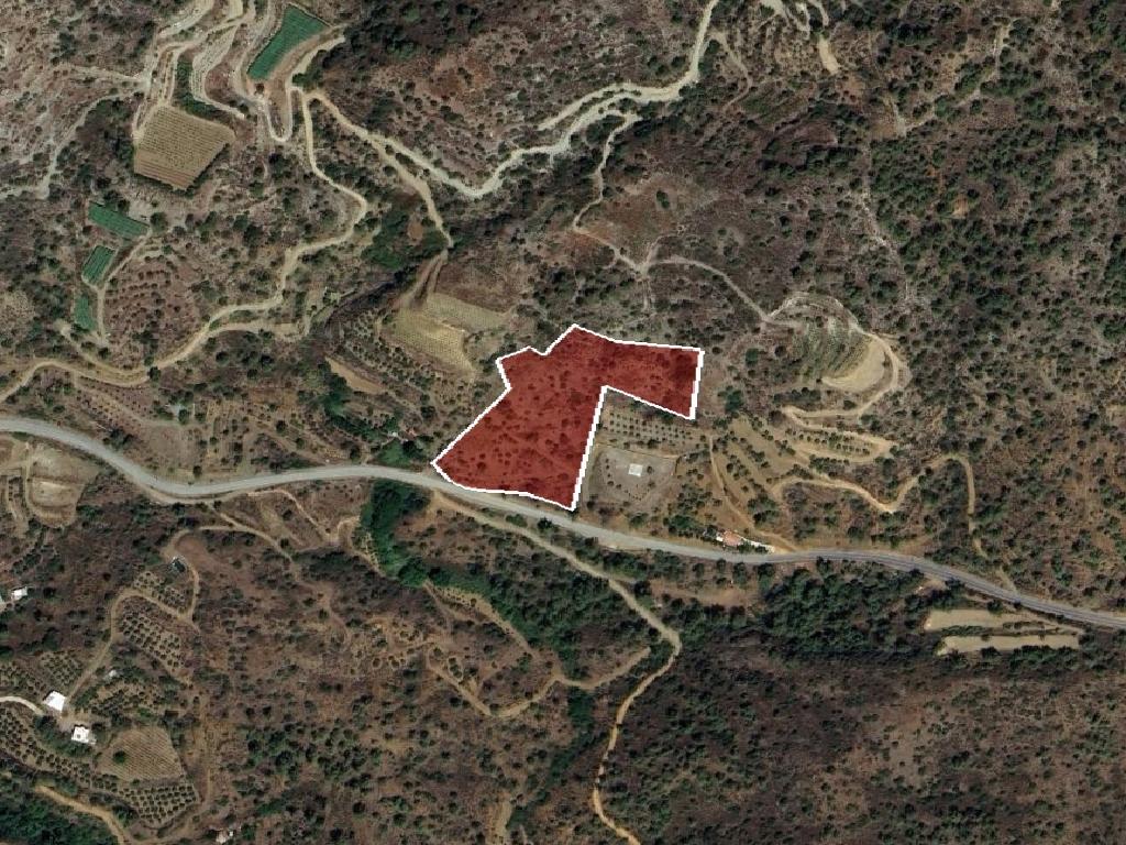 Field-Kalo Chorio-PR41588